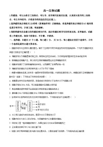 2024泰安肥城高一上学期期中考试生物含解析