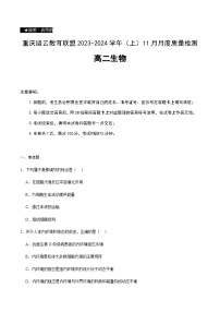 2023-2024学年重庆市缙云教育联盟高二上学期11月月考试题生物含答案