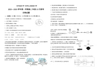 2023-2024学年广东省东莞市东华高级中学、东华松山湖高级中学高二上学期10月联考试题生物含答案