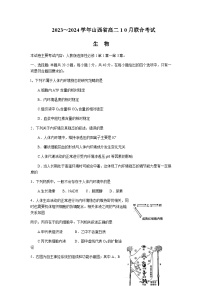 2023-2024学年山西省康杰中学部分学校高二上学期10月联合考试生物含答案