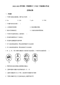 2022-2023学年新疆喀什地区第二中学高二上学期期末生物试题含答案