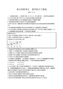 高中考试生物单元质检卷（五）——遗传的分子基础