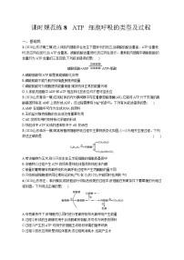 高中考试生物特训练习含答案——细胞呼吸的类型及过程