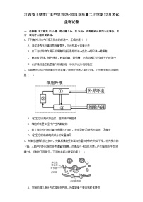 江西省上饶市广丰中学2023-2024学年高二上学期12月考试生物试卷