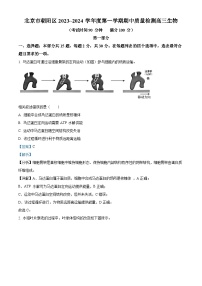 2024北京朝阳区高三上学期期中生物含解析