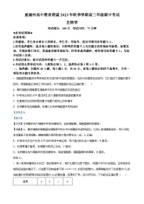 湖北省恩施州联盟学校2023-2024学年高二上学期期中考试生物试题（Word版附解析）