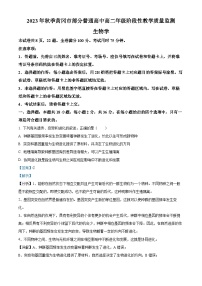 湖北省黄冈市部分高中2023—2024学年高二上学期11月阶段考试生物试题（Word版附解析）