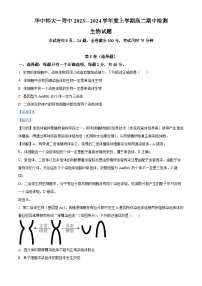 湖北省华中师范大学第一附属中学2023-2024学年高二上学期期中生物试题（Word版附解析）