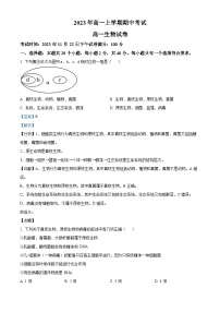 湖北省荆州市荆州中学2023-2024学年高一上学期期中生物试题（Word版附解析）