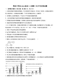 2024重庆市荣昌中学高三上学期12月月考试题生物含解析