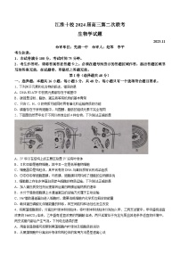 安徽省江淮十校2024届高三第二次联考试题生物