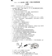 【河北卷】河北省新时代NT教育2023-2024学年高三上学期12月阶段测试生物