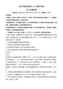 湖北省孝感市2023-2024学年高二上学期11月期中生物试题（Word版附解析）