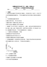 安徽省宿州市合肥六中、宿城一中等2023-2024学年高一上学期期中联考生物试卷(含答案)