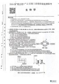 【安徽卷】2024届“耀正优+”12月高三名校阶段检测联考生物