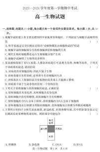 山东省济宁市2023-2024学年高一上学期期中考试生物