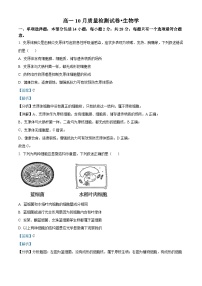 江苏省镇江地区2023-2024学年高一上学期10月月考生物试题（Word版附解析）