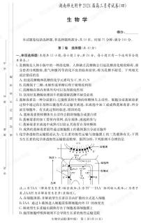 2024湖南师大附中高三上学期月考（四）生物PDF版含解析