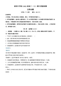 四川省遂宁市射洪中学2023-2024学年高二上学期11月期中生物试题（Word版附解析）