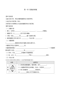 高中生物人教版 (2019)必修1《分子与细胞》第1节 细胞的增殖学案及答案