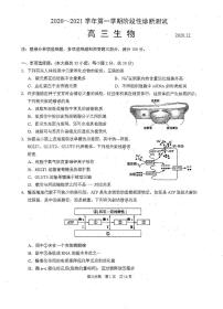 2021届江苏省苏州市相城区高三第一学期阶段性诊断测试（12月）生物试卷 PDF版