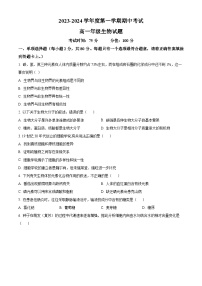 江苏省滨海县东元高级中学，盐城大丰区新丰中学2023-2024学年高一上学期期中考试生物试题  Word版无答案