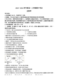 广东省深圳市联盟校2023-2024学年高一上学期11月期中考试 生物 Word版含答案