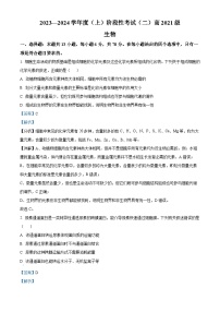 四川省成都市成华区某校2023-2024学年高三上学期期中生物试题（Word版附解析）