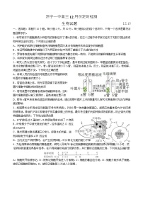 2024济宁一中高三上学期12月月考试题生物含答案