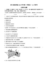 2024浙江省强基联盟高一上学期12月月考试题生物含解析