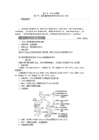 高中生物人教版 (2019)必修2《遗传与进化》第3节 DNA的复制教学设计
