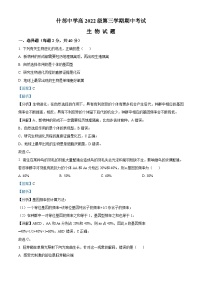 四川省德阳市什邡中学2023-2024学年高二上学期期中生物试题（Word版附解析）