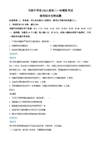 四川省合江县马街中学2023-2024学年高三上学期一诊模拟考试生物试题（Word版附解析）