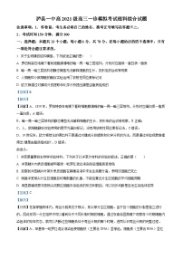 四川省泸州市泸县第一中学2024届高三上学期一诊模拟生物试题（Word版附解析）