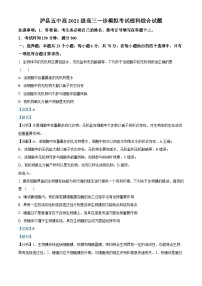 四川省泸州市泸县第五中学2023-2024学年高三上学期一诊模拟生物试题（Word版附解析）