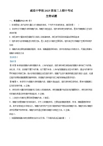 四川省内江市威远中学2023-2024学年高二上学期期中生物试题（Word版附解析）