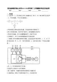 四川省绵阳市南山中学2023-2024学年高二上学期期中考试生物试卷(含答案)