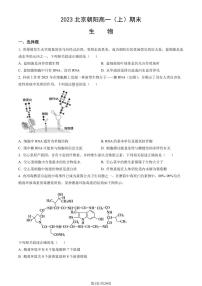 2023年北京朝阳高一上学期期末生物试卷及答案（教师版）