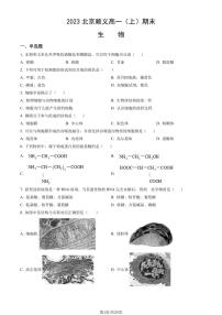 2023年北京顺义高一上学期期末生物试卷及答案（教师版）