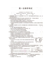 2024湖南省百校大联考高一上学期12月考试生物试卷含答案