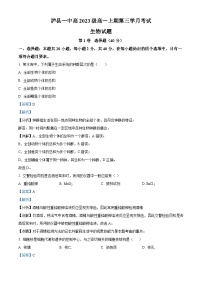 四川省泸州市泸县一中2023-2024学年高一上学期12月月考生物试题（Word版附解析）