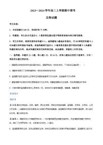 2023-2024学年安徽省亳州市蒙城县五校高三上学期11月期中联考生物试题含解析