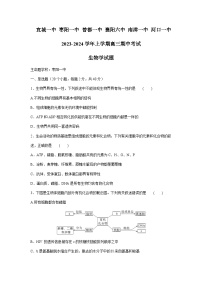 2023-2024学年湖北省宜城市第一中学等六校高三上学期期中联考生物试题含答案