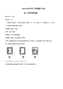 2023-2024学年河北省衡水市冀州中学高三上学期期中考试生物含答案