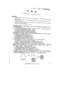 河南省新未来联考2023-2024学年高一上学期12月质量检测生物试题（PDF版附解析）