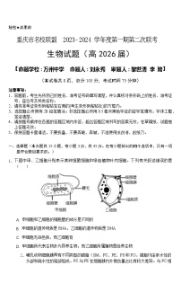 重庆市名校联盟2023-2024学年高一上学期第二次联考试题（12月）生物（Word版附答案）