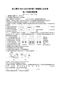 海南省华东师范大学第二附属中学乐东黄流中学2023--2024学年高一上学期第二次月考试生物试题