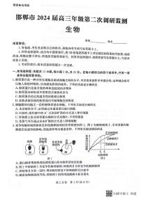 2024邯郸高三上学期第二次调研监测试题生物PDF版含解析