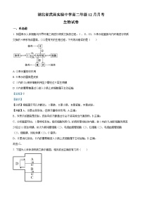 湖北省武昌实验中学2023-2024学年高二上学期12月月考生物试题（Word版附解析）