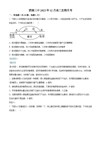 湖北省武汉市武钢三中2023-2024学年高二上学期12月考试生物试题（Word版附解析）